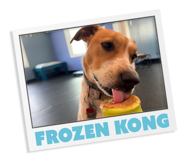 Page 2 DAYCARE 02 MINIBAR LEFT