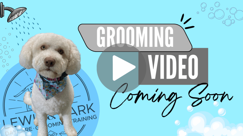 Grooming Video Placeholder
